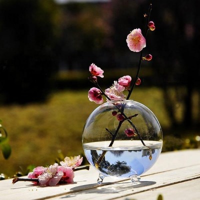 Clear Round Decorative glass Ball Terrarium flower Vase Home Wedding Party Decor